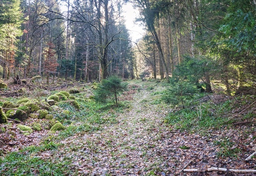 20220205202146-2d3d5116